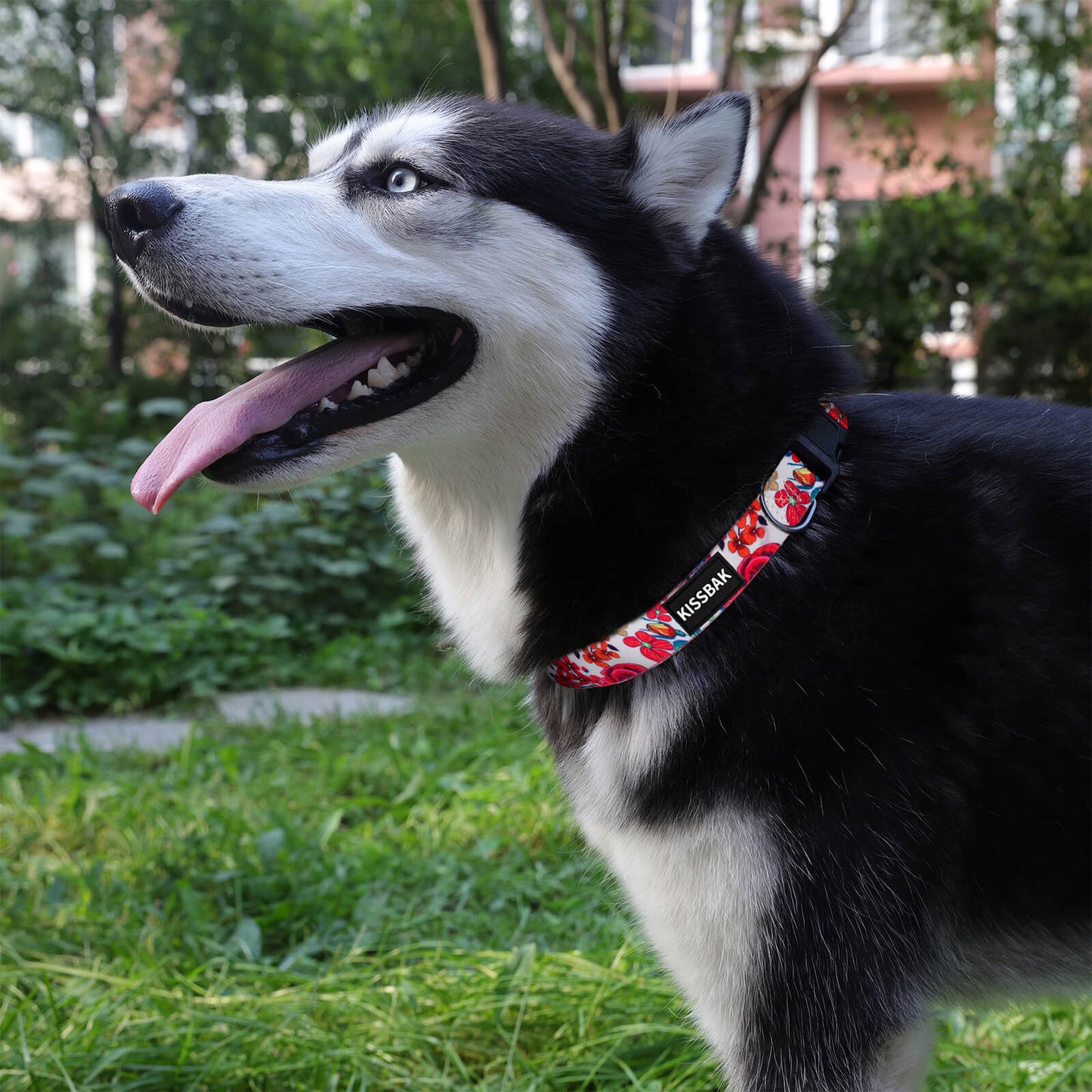 KISSBAK Dog Collar for Small-Medium-Large Dogs - Special Design Cute Girl Dog Pet Collar Soft Adjustable Fancy Floral Girl Puppy Dog Collars Scarlet Rose