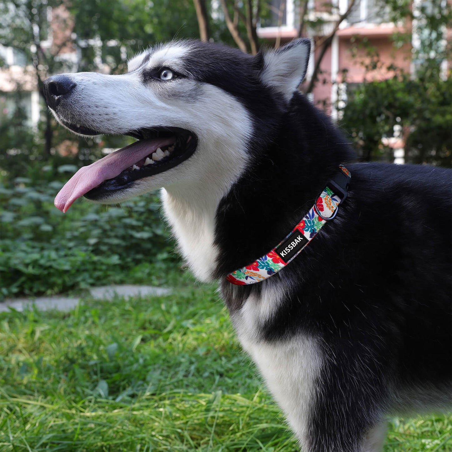 KISSBAK Dog Collar for Small-Medium-Large Dogs - Special Design Cute Girl Dog Pet Collar Soft Adjustable Fancy Floral Girl Puppy Dog Collars Hibiscus Red