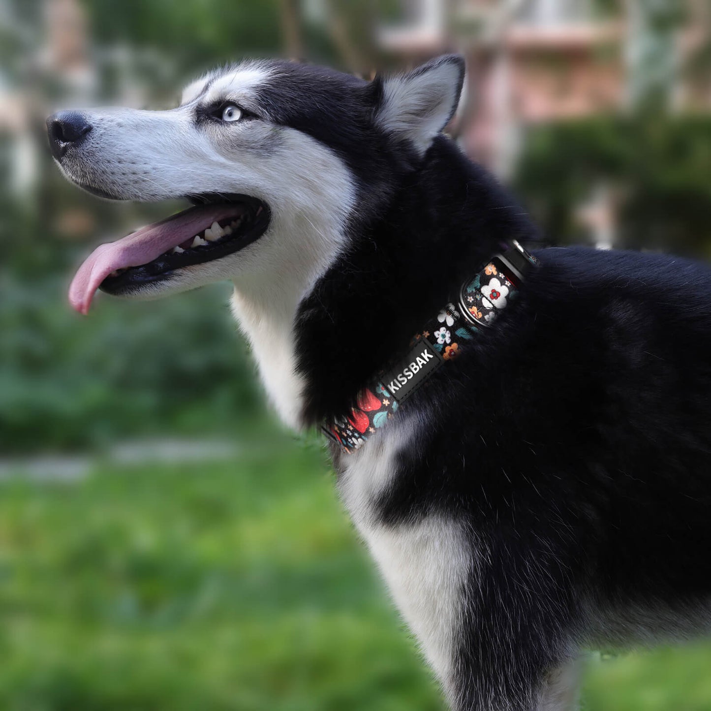 KISSBAK Dog Collar for Small-Medium-Large Dogs - Special Design Cute Girl Dog Pet Collar Soft Adjustable Fancy Floral Girl Puppy Dog Collars Strawberry