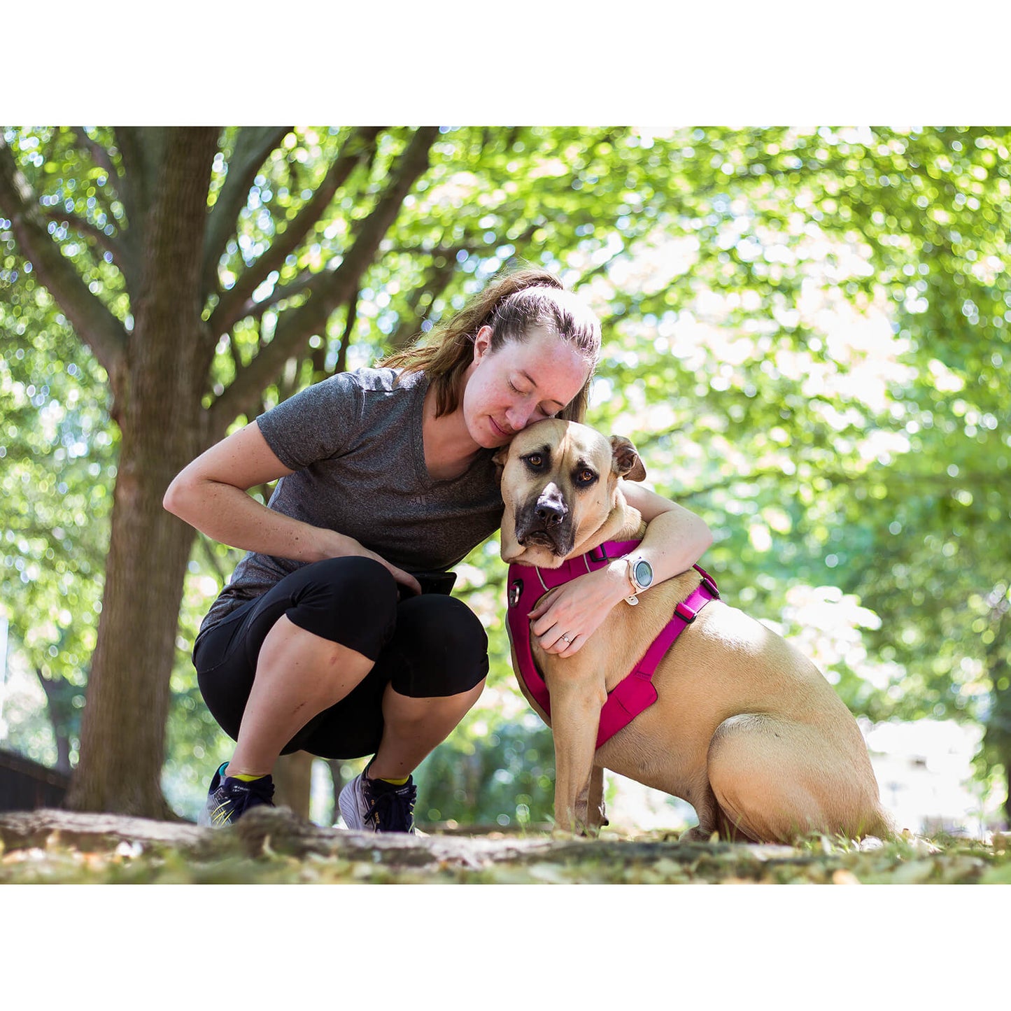 KISSBAK Dog Harness for Small-Medium-Large Dogs - No Pull Dog Vest Harness with Handle, Cute Girl Boy Reflective Soft Padded Pet Harness, 2 Leash Clips Adjustable Comfortable Easy Walk Dog Chest Harness Designed Pink Black