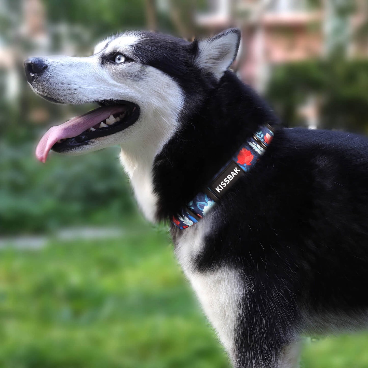 KISSBAK Dog Collar for Small-Medium-Large Dogs - Special Design Cute Girl Dog Pet Collar Soft Adjustable Fancy Floral Girl Puppy Dog Collars Vivid Rose