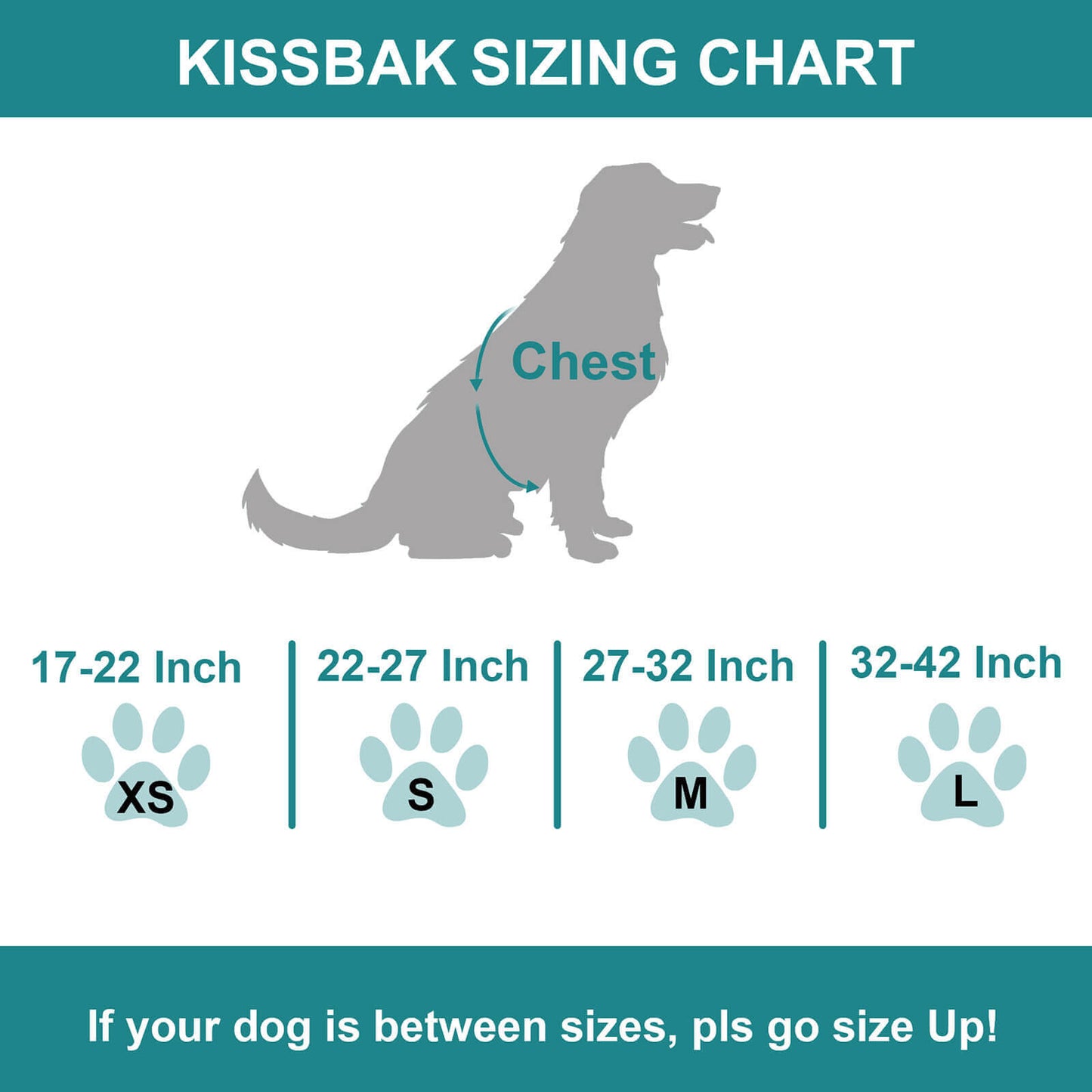 KISSBAK Dog Harness for Small-Medium-Large Dogs - No Pull Dog Vest Harness with Handle, Cute Girl Boy Reflective Soft Padded Pet Harness, 2 Leash Clips Adjustable Comfortable Easy Walk Dog Chest Harness Designed Pink Black