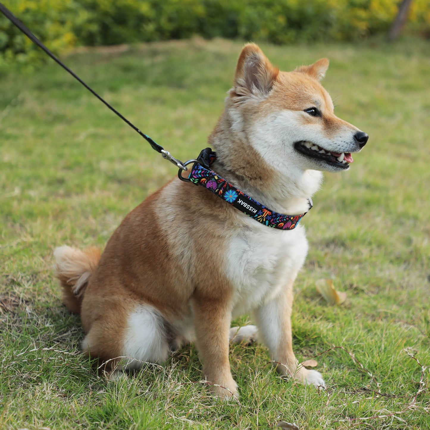 KISSBAK Dog Collar for Small-Medium-Large Dogs - Special Design Cute Girl Dog Pet Collar Soft Adjustable Fancy Floral Girl Puppy Dog Collars Floral Purple