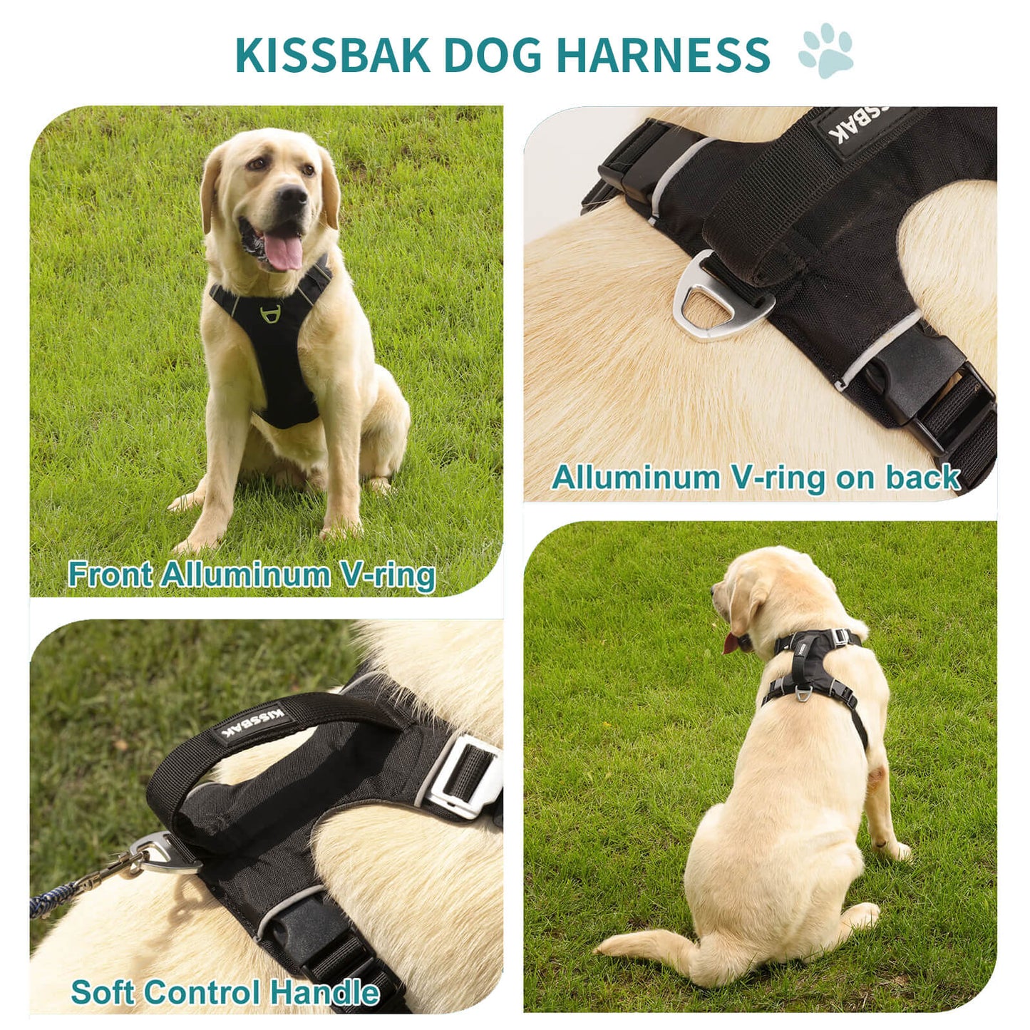 KISSBAK Dog Harness for Small-Medium-Large Dogs - No Pull Dog Vest Harness with Handle, Cute Girl Boy Reflective Soft Padded Pet Harness, 2 Leash Clips Adjustable Comfortable Easy Walk Dog Chest Harness Designed Pink Black