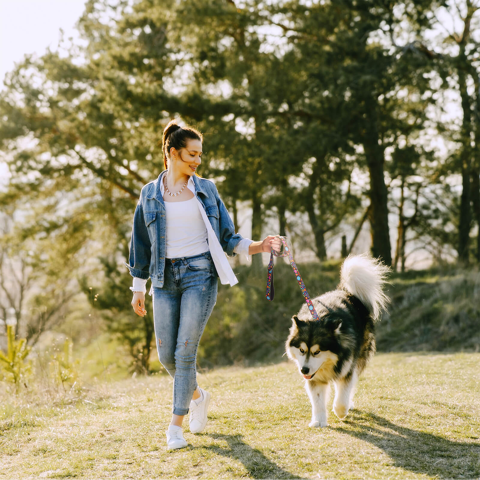 EcoBark Reflective Dog Leash - Padded Handle, Heavy Duty & Eco-Friendly For All Dog Sizes